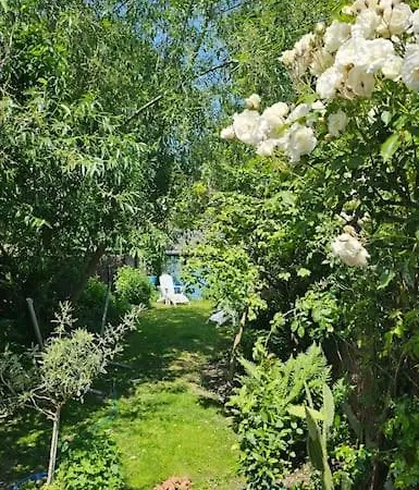 Maison De Caractere 8 Pers - Jardin - *