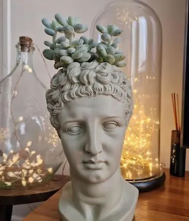 Villa Maison De Caractere 8 Pers - Jardin - *