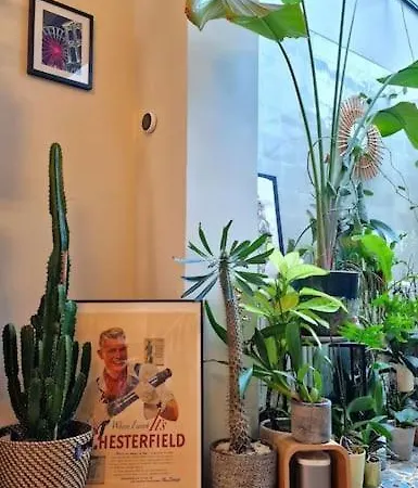 Maison De Caractere 8 Pers - Jardin -