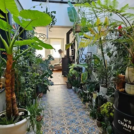 Maison De Caractere 8 Pers - Jardin - * Lambersart