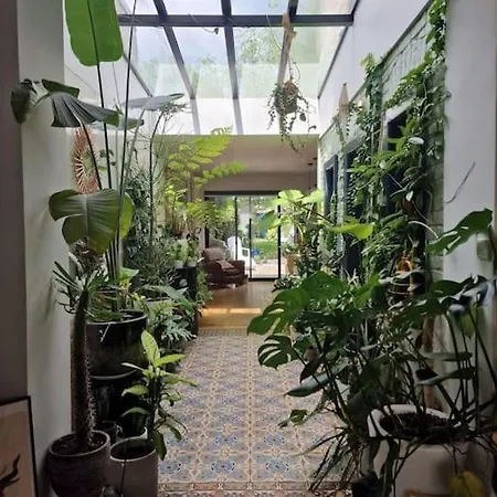 Villa Maison De Caractere 8 Pers - Jardin -