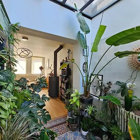 Maison De Caractere 8 Pers - Jardin - Lambersart