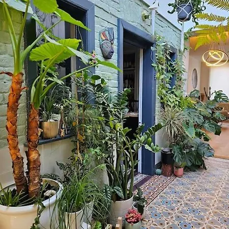 Villa Maison De Caractere 8 Pers - Jardin - *