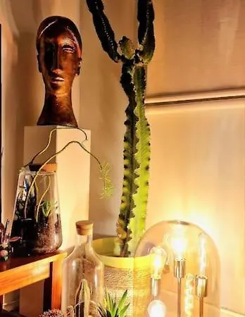 Maison De Caractere 8 Pers - Jardin - *